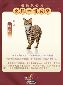 北京天龙八部私服公司